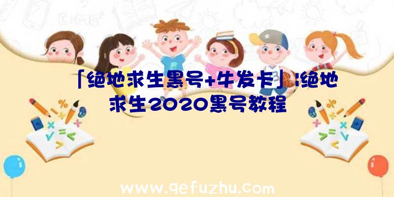 「绝地求生黑号+牛发卡」|绝地求生2020黑号教程